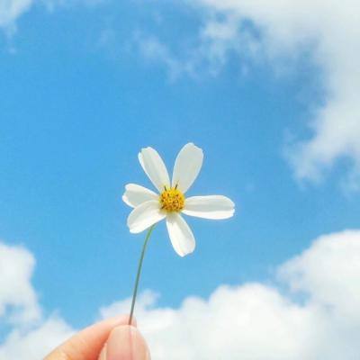 hth华体育(中国)官方入口下载手机版截图