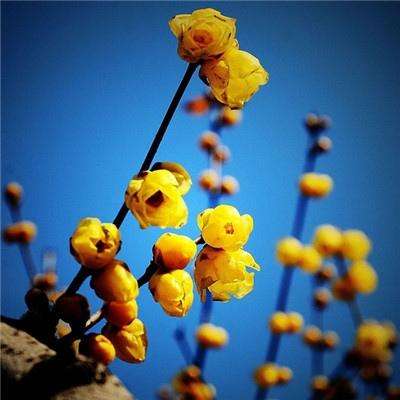 乐鱼官网app下载