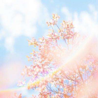 乐鱼app官网正式版下载下载手机版