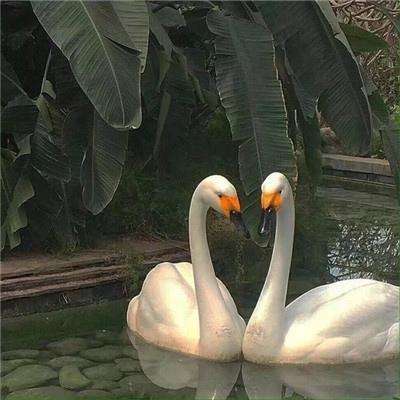 赢三张免费游戏app下载