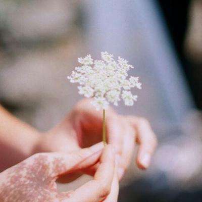 bet官网365app下载1069