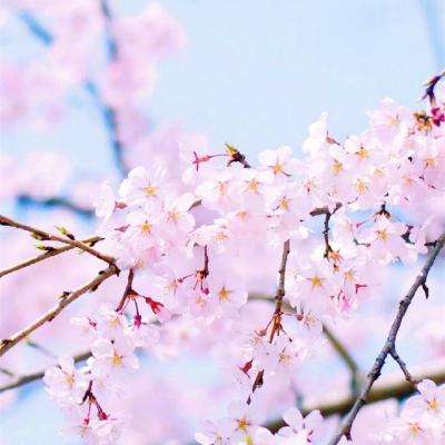 hth华体育(中国)官方入口下载手机版