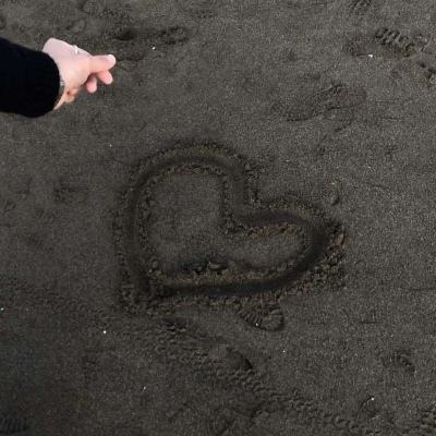 双赢彩票app下载截图